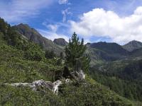 Sauofental mit Süßleiteck, Schrein, Sauofenspitze, Schöder über der Günsterscharte